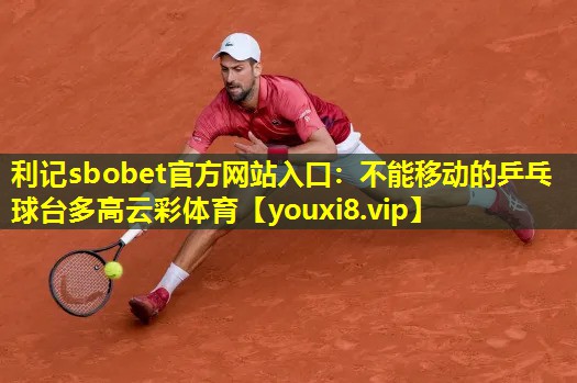 利记sbobet官方网站入口：不能移动的乒乓球台多高云彩体育