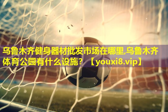 乌鲁木齐健身器材批发市场在哪里,乌鲁木齐体育公园有什么设施？