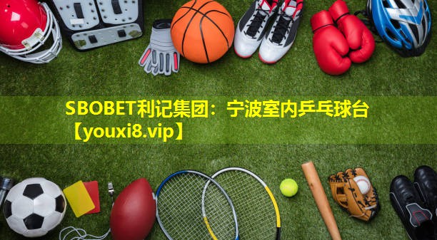 宁波室内乒乓球台 宁波室内乒乓球台