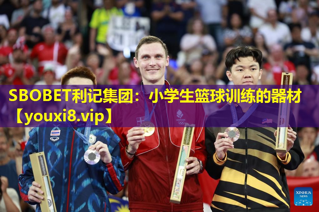 小学生篮球训练的器材 小学生篮球训练的器材